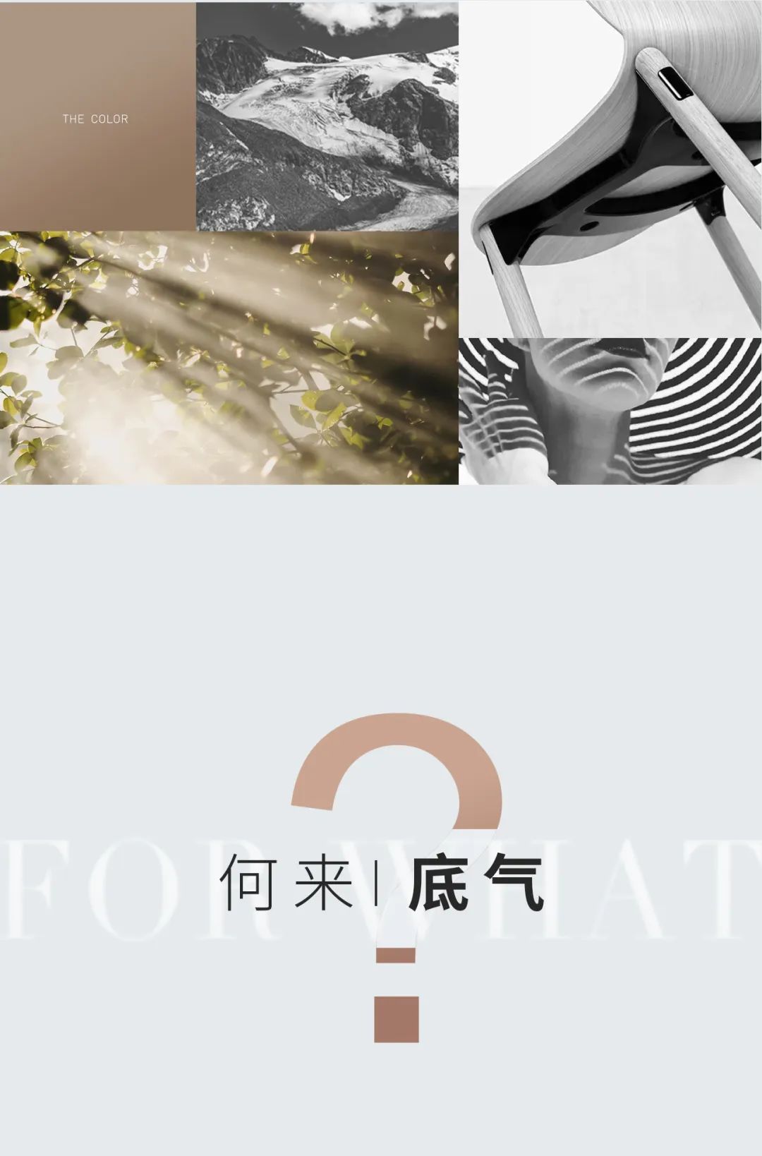 29°柔光 | 因為熱愛 ， 所以堅持(圖4)